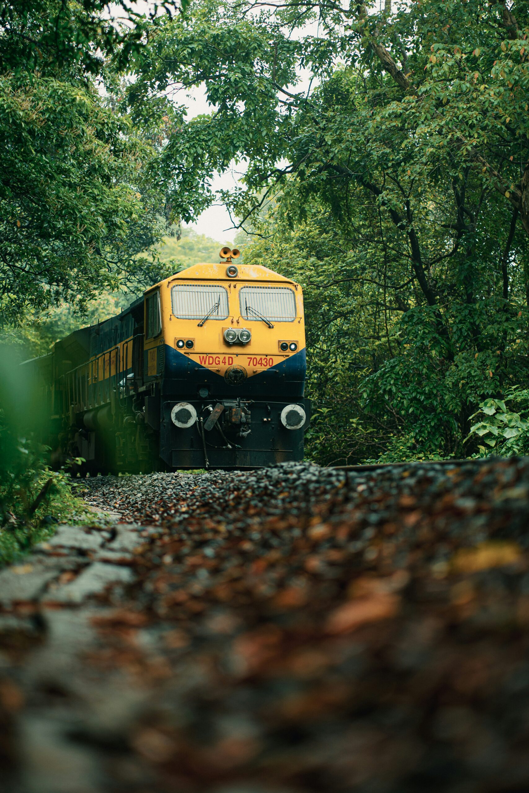 Train